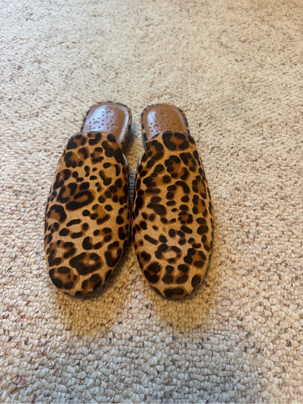 Women’s Leopard Print Slip-On Mules - Brown/Black